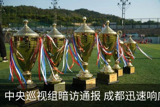 中央巡视组暗访通报 成都迅速响应立案拟顶格处罚